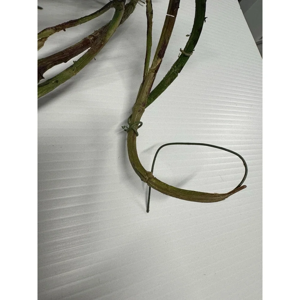 Lot of 2 6ft + Olive Branch Garlands Artificial Olive Tree Farmhouse Decor Wine